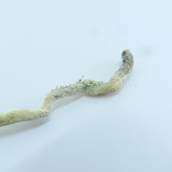 実際に弊社で買取させて頂いたARIZONA FREEDOM/アリゾナフリーダム 18mmメディスンホイールトップ/唐草入りビーズ 3点セットの画像 7枚目