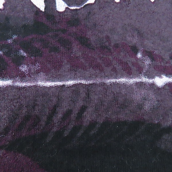 実際に弊社で買取させて頂いたWinterland/Hanes PANTERA/パンテラ 90s ヴィンテージ バンドTシャツ 2点セットの画像 5枚目